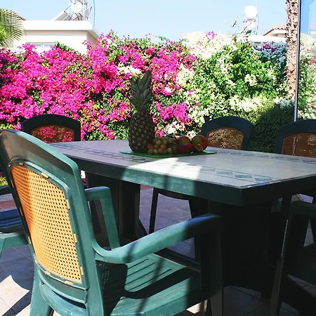 Pilos * Paphos